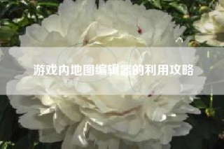 游戏内地图编辑器的利用攻略
