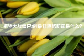 植物大战僵尸2的最佳道路防御是什么？