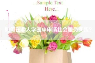 如何在非人学园中申请社会服务实践？