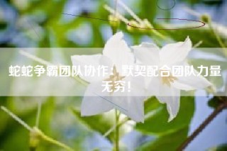 蛇蛇争霸团队协作：默契配合团队力量无穷！
