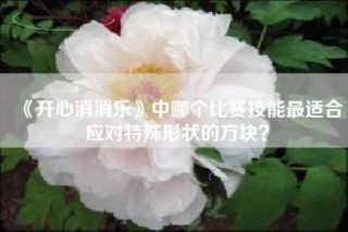 《开心消消乐》中哪个比赛技能最适合应对特殊形状的方块？