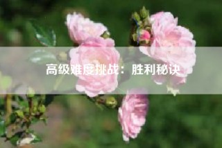 高级难度挑战：胜利秘诀