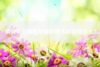 游戏中有哪些隐秘的地点和秘密关卡？