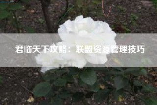 君临天下攻略：联盟资源管理技巧