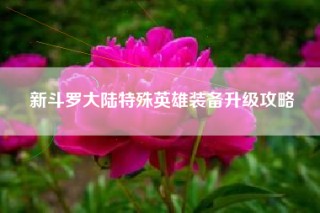 新斗罗大陆特殊英雄装备升级攻略