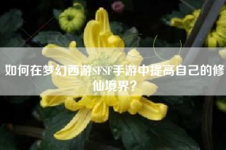 如何在梦幻西游SFSF手游中提高自己的修仙境界？