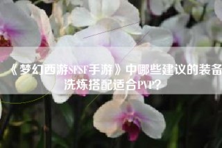 《梦幻西游SFSF手游》中哪些建议的装备洗炼搭配适合PVP？