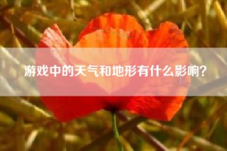 游戏中的天气和地形有什么影响？