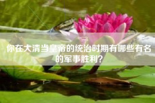 你在大清当皇帝的统治时期有哪些有名的军事胜利？