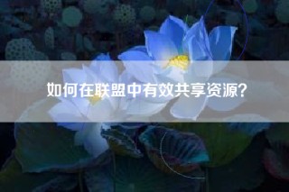 如何在联盟中有效共享资源？