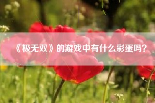 《极无双》的游戏中有什么彩蛋吗？