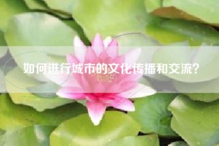 如何进行城市的文化传播和交流？