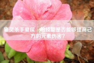 亡灵杀手夏侯惇的技能是否能够提高己方的元素伤害？