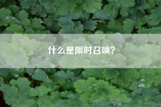 什么是限时召唤？