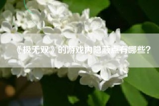 《极无双》的游戏内隐蔽点有哪些？