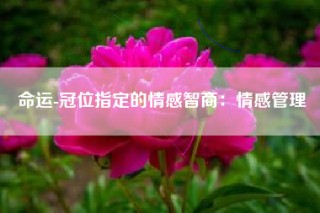 命运-冠位指定的情感智商：情感管理