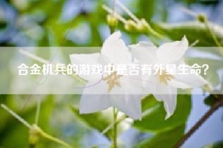 合金机兵的游戏中是否有外星生命？