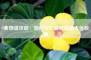 食物语攻略：如何在忙碌时段最大化收益
