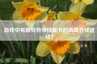 游戏中有哪些特殊技能书的高级合成途径？