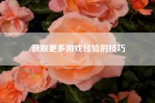 获取更多游戏经验的技巧