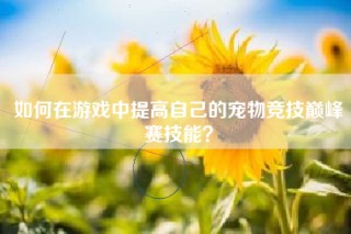 如何在游戏中提高自己的宠物竞技巅峰赛技能？