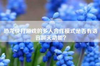 恐龙快打游戏的多人合作模式是否有语音聊天功能？