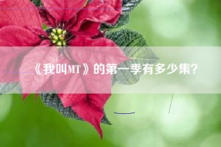 《我叫MT》的第一季有多少集？