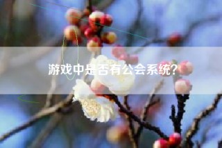 游戏中是否有公会系统？