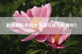 超级舰队中的水下战斗技巧有哪些？
