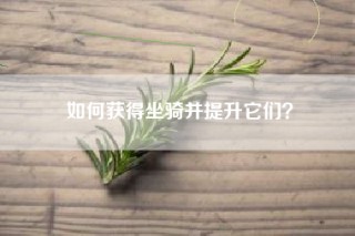 如何获得坐骑并提升它们？