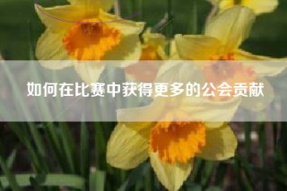 如何在比赛中获得更多的公会贡献