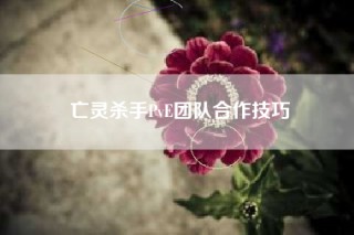 亡灵杀手PvE团队合作技巧