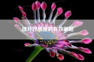 提升好感度的有效策略