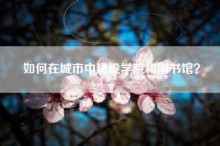 如何在城市中建设学院和图书馆？