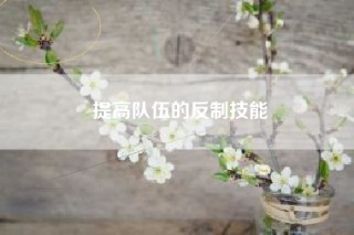 提高队伍的反制技能