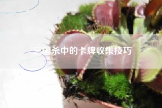 三国杀中的卡牌收集技巧