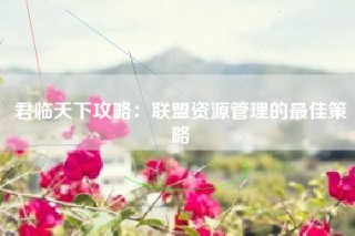 君临天下攻略：联盟资源管理的最佳策略