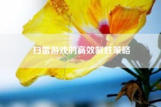 扫雷游戏的高效制胜策略