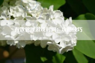 有效管理游戏时间：攻略技巧