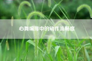 心舞编排中的动作流畅度