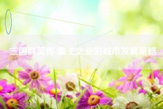 三国群英传-霸王之业的城市发展策略