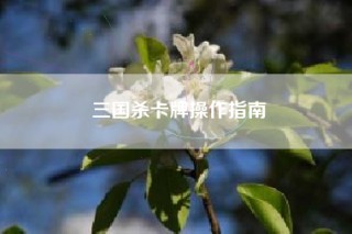 三国杀卡牌操作指南