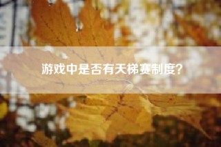 游戏中是否有天梯赛制度？