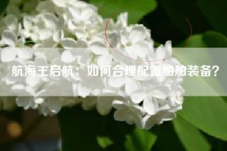 航海王启航：如何合理配置船舶装备？