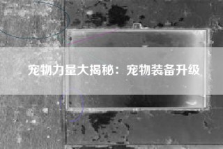 宠物力量大揭秘：宠物装备升级