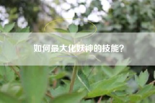 如何最大化妖神的技能？