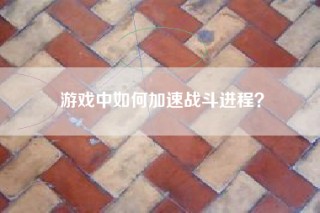 游戏中如何加速战斗进程？