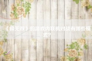 《极无双》的游戏内联机对战有哪些模式？
