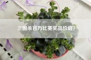 三国杀官方比赛奖品价值？