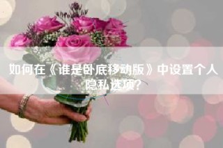 如何在《谁是卧底移动版》中设置个人隐私选项？
